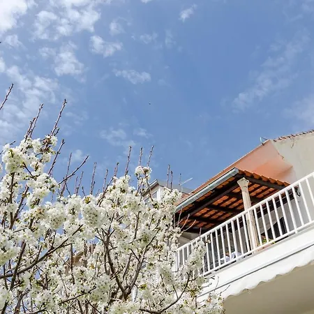 Silente - One Bedroom With Terrace And Partial Sea View דירה *